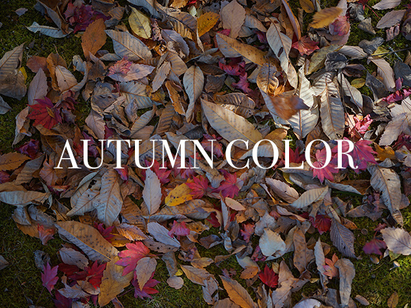 AUTUMN COLOR at KARUIZAWA